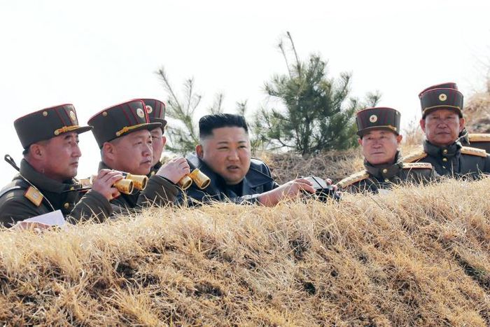 North Korea has not reported a single case of the new coronavirus, but there is widespread speculation that the pathogen has reached the isolated nation