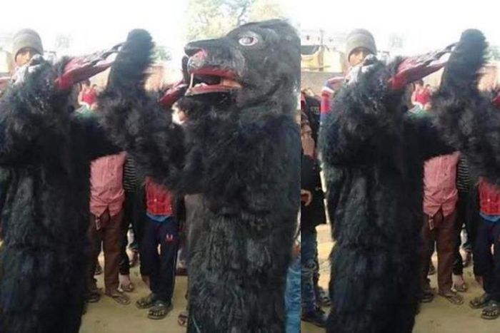Villagers dress up like beers to scare away over 2000 monkeys
