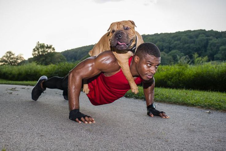 7 Exercises to Get Swole With Your Dog