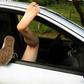 Horny couple arrested for having sex inside a car in total defiance of 'COVID-19 rules'