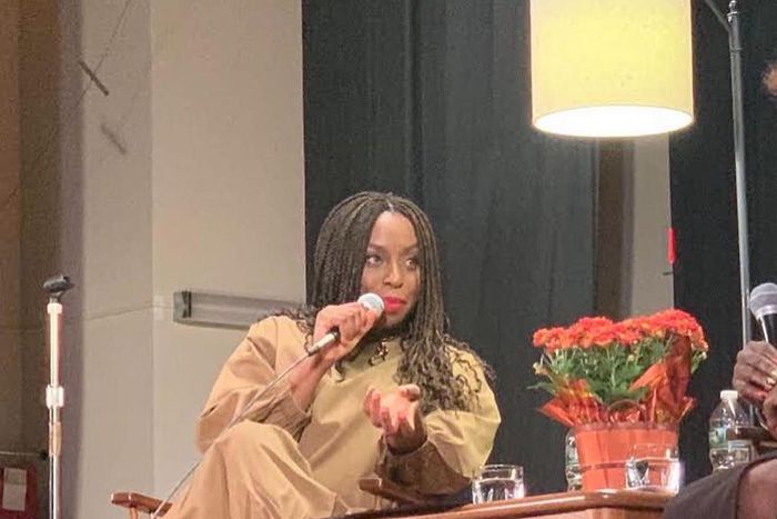 Chimamanda Adichie says in many countries across the world, the idea of domestic work is still seen as something that women should do. [Instagram/ChimamandaAdichie]
