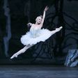 At New York City Ballet, Swans Use Grit to Find Glory