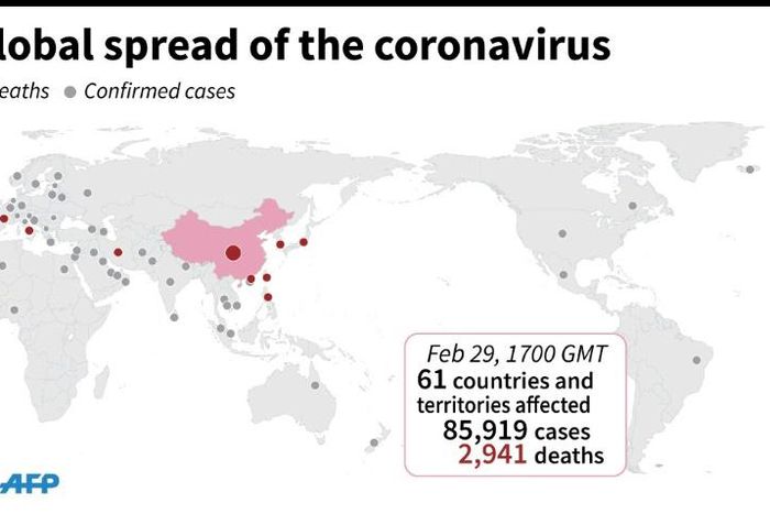 Countries and teritories with confirmed cases of the new coronavirus as of February 29 at 17:00 GMT.