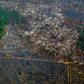Forests absorb huge amounts of planet-warming carbon dioxide and are vital sanctuaries of biodiversity, yet every year an area the size of England and Wales is felled