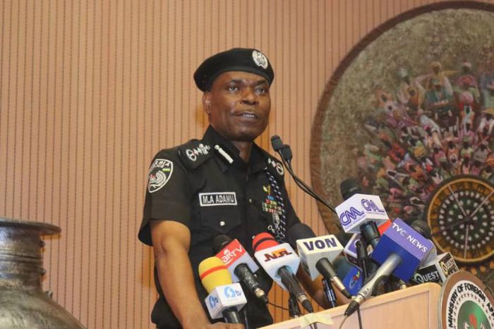 The Inspector-General of Police (IGP), Mr Mohammed Adamu. [dailypost]