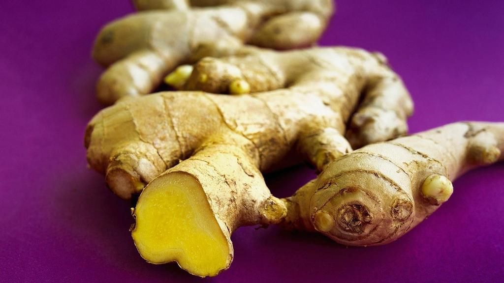 Ginger [Credit - Jessica Gavin]