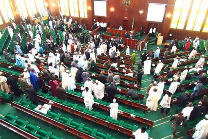 Rowdy session at the House of Representatives [Twitter]