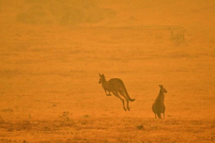 The devastating bushfires in Australia have highlighted the type of disasters that scientists say the world will increasingly face due to global warming