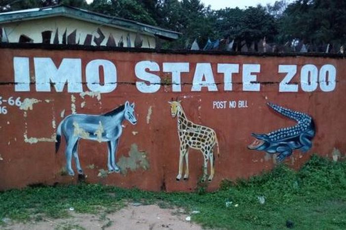 Panic in Imo as hyena escapes from zoo. [awarenessng]
