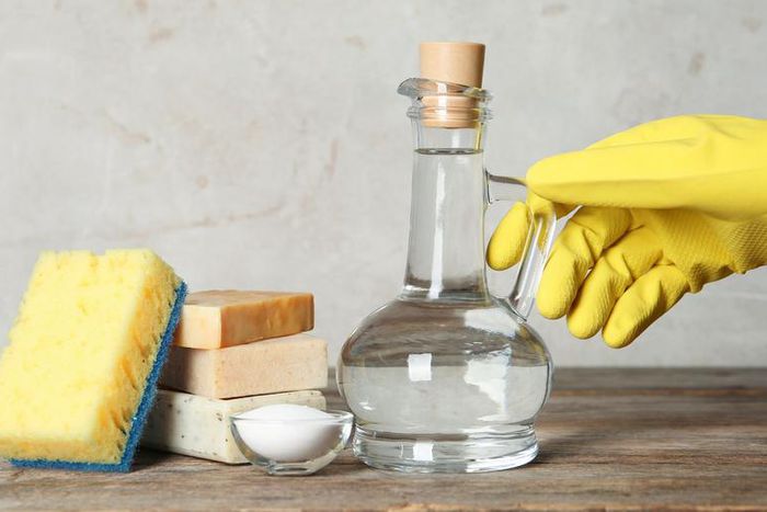 Is Vinegar A Disinfectant?