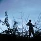 The AU peacekeeping force AMISOM had helped fight the Al-Qaeda linked militants