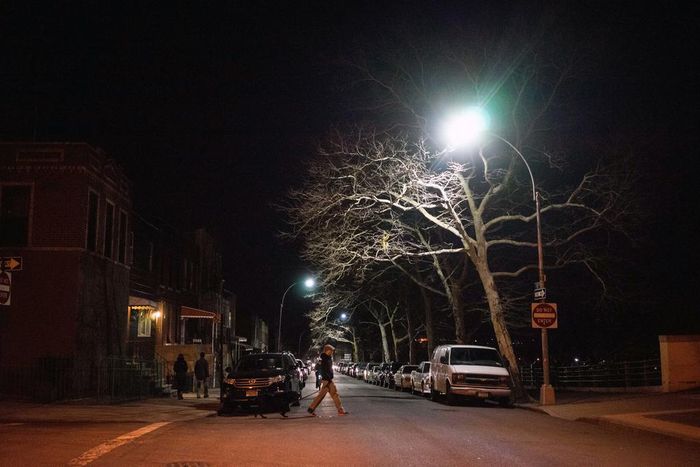 Secret Service Agent Kills Dog, Unnerving a Brooklyn Neighborhood
