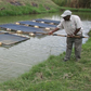How to invest in Agric-real estate business with high returns through Green Partners.