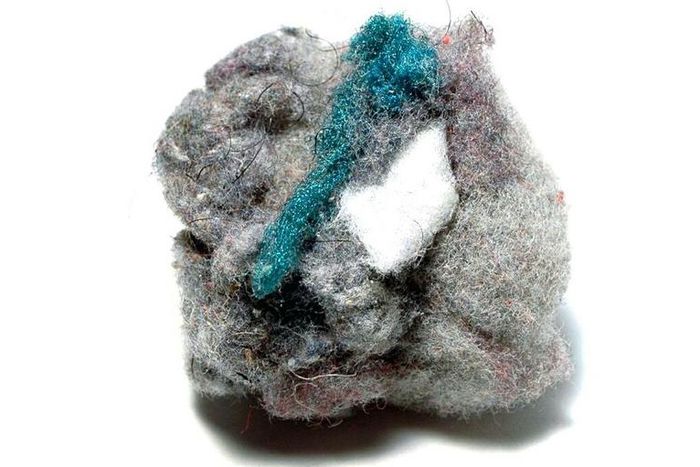 "Eeeeek, it's like lint."