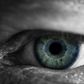 Blind man who couldn't see for 20 years regains eyesight after being hit by car