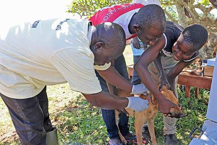 FG donates materials to check outbreak of zoonotic diseases in Cross River. [fao]