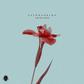 Patoranking releases new single, 'I'm In Love.' (Tooxclusive)
