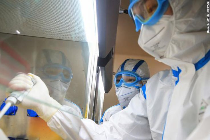 Man infects his cat with Coronavirus. [CNN]