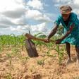 Climate extremes: A year ago, Josephine Ganye's home in Buhera, eastern Zimbabwe, was hit by a devastating cyclone. Now she is struggling with a crippling drought
