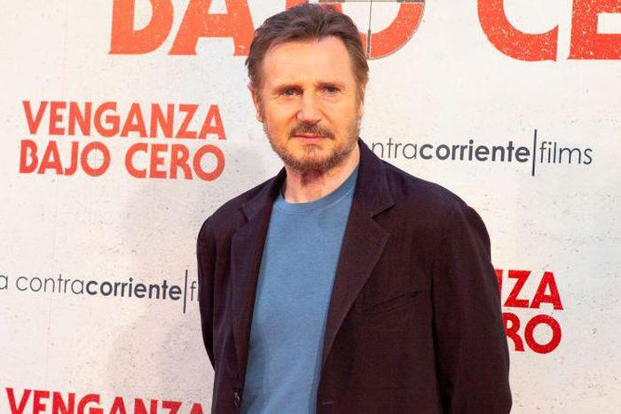 Liam Neeson Says He's 'Not a Fan' of Blockbusters