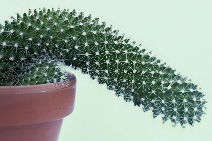 'I Have E.D., And Here's What I Want You To Know'