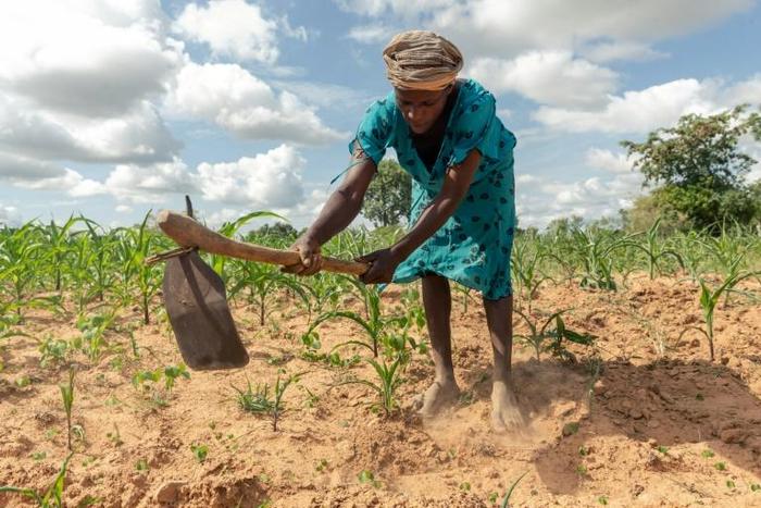 Climate extremes: A year ago, Josephine Ganye was hit by a devastating cyclone -- now she is struggling with a crippling drought