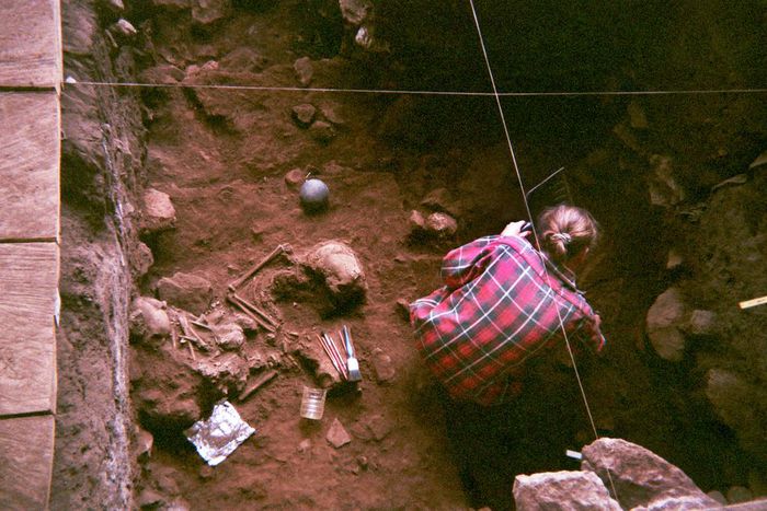 Ancient DNA from West Africa Adds to Picture of Humans' Rise