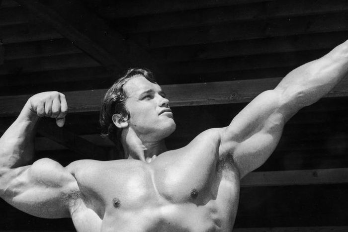 Arnold Schwarzenegger Shares No-Gym Workout Plan