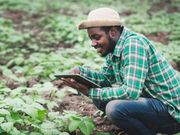 8 Agritech innovations improving food security in Nigeria