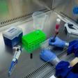 Hydroxychloroquine,  convalescent plasma and herd immunity are among some of the once-obscure terms becoming household words in the coronavirus era