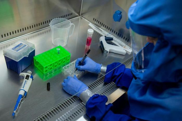 Hydroxychloroquine,  convalescent plasma and herd immunity are among some of the once-obscure terms becoming household words in the coronavirus era