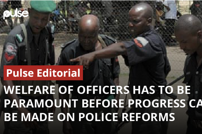 Police officers in Nigeria (Pulse)