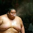 Sumo wrestlers are revered in Japan