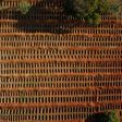 The Vila Formosa cemetery is one of the largest in Sau Paulo and many fresh graves are being dug as the coronavirus continues to wreck havoc in Brazil with the death toll surpassing 80,000 on Monday.