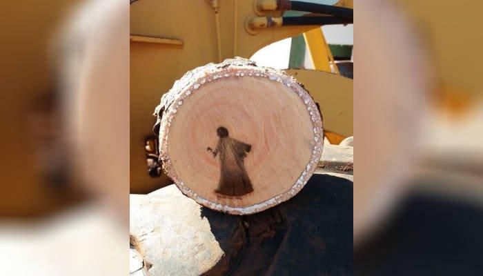 Image of “Jesus Christ” Discovered in Cut Tree Branch Sparks Online Controversy