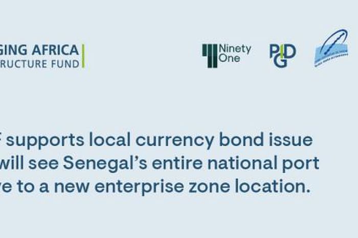 Private Infrastructure Development Group (PIDG)