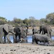 Botswana is home to some 130,000 elephants
