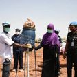 African Union-United Nations Mission in Darfur (UNAMID)