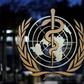 The use of masks has been a hot topic ever since the virus first emerged in China in December