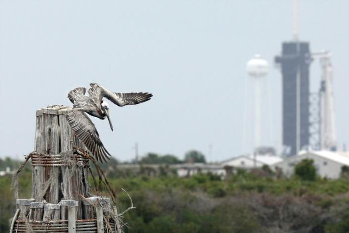A SpaceX Falcon 9 rocket is set to take off at 4:33 pm (2033 GMT) on May 27, 2020, from Launch Pad 39A with the Crew Dragon capsule at its top