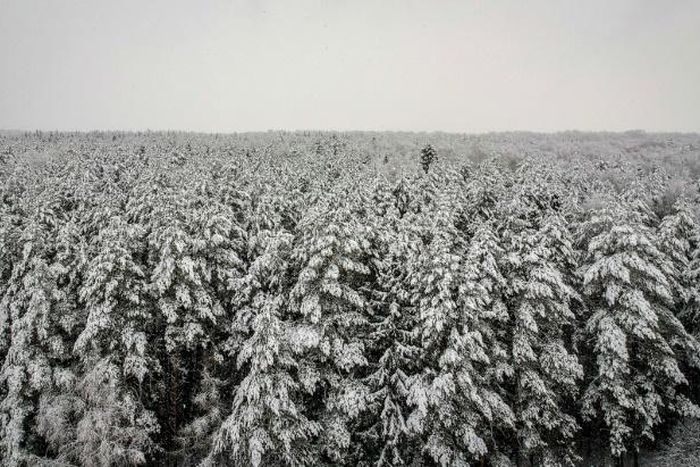 Russia's Siberia region, best known as an icy tundra, is being transformed by climate change
