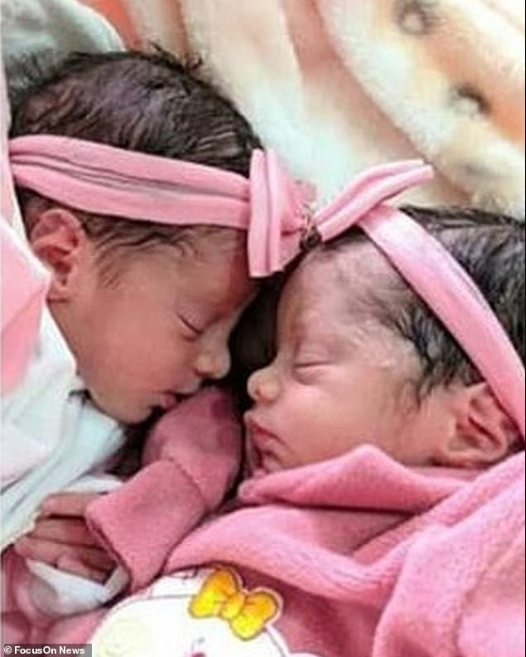 Dog kills 26-day-old twins as mother who’d been childless for 9 years leaves her room to see neighbour