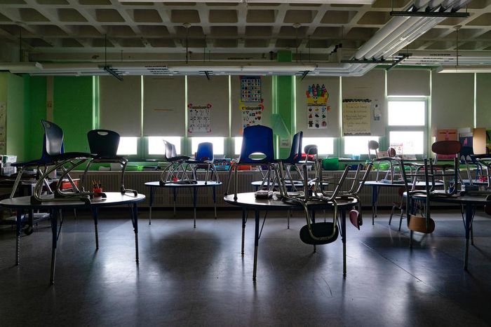 Imagine Online School in a Language You Don't Understand