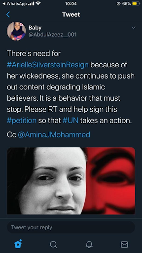 Arielle Silverstein and her antics online