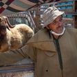 Moroccan farmers sell their livestock ahead of the Muslim festival of sacrifice Eid al-Adha at markets around the kingdom