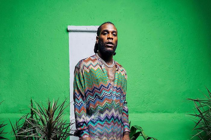 Vera Sidika clears the air on alleged relationship with Burna Boy