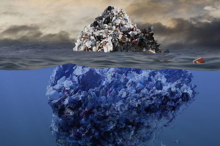 Dr. Pimple Popper Pulls Out 'Gunkberg'