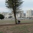A homeless man stands with some of his belongings at a usually busy promenade in Capetown, now mostly deserted because of the coronavirus lockdown
