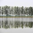 A ricefield in Robbio, northern Italy -- consumption has soared during the coronavirus pandemic while China wants to import Italian varieties too