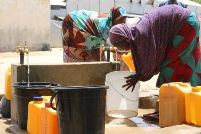 International Organization for Migration (IOM)